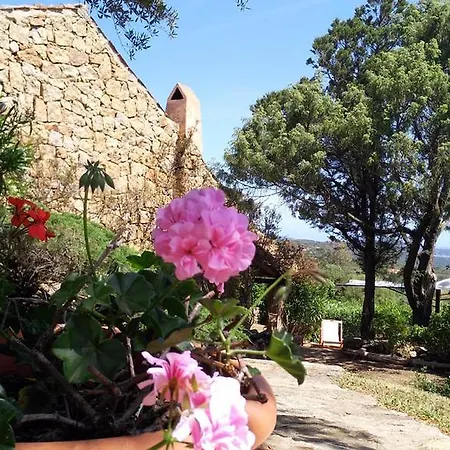 I Mirti San Pantaleo