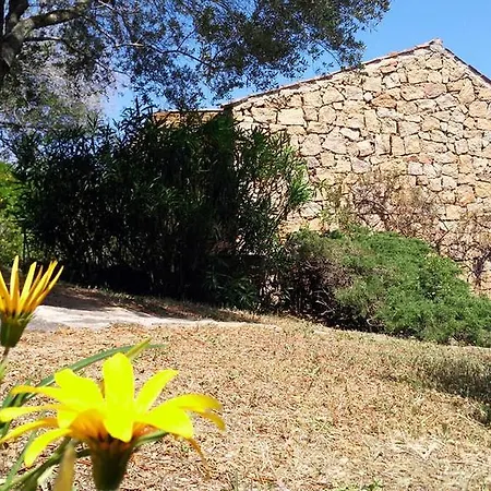 Bed and breakfast I Mirti San Pantaleo