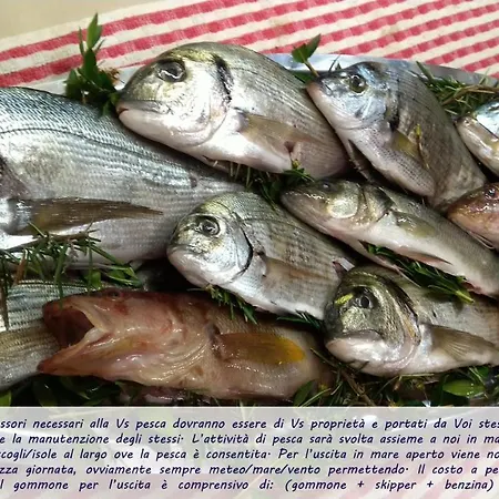 Bed & Breakfast I Mirti *