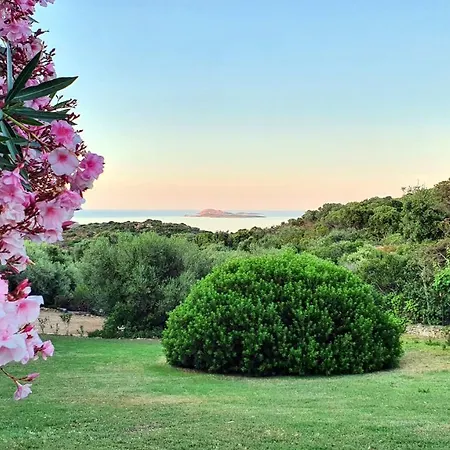 I Mirti San Pantaleo