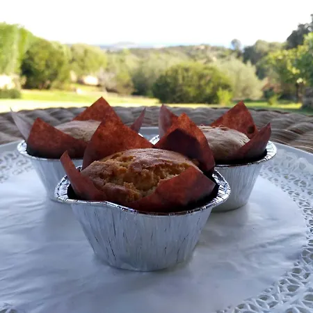 I Mirti San Pantaleo